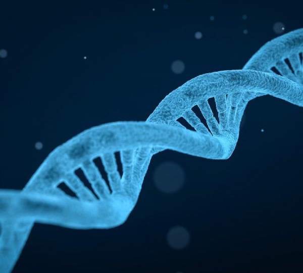 Influencia genética en la respuesta de esteroles vegetales en la reducción del colesterol y triglicéridos plasmático